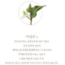 생생어성초 영농조합 법인 이미지