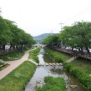 모전천 이미지