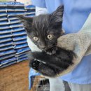 마산가축병원 이미지