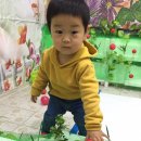 정훈농장2 이미지