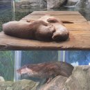 김재윤농장 이미지