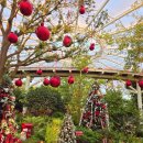 순천만국가정원 국가정원식물원 화장실 | 순천 실내 가볼만한곳 아이와 순천만국가정원 식물원 카페