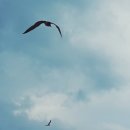 구조라별장 이미지