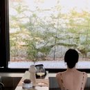 송이전집 이미지