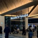 세븐일레븐 김해공항국내선점 | 무계획 후쿠오카 3박 4일 여행 1일차(공항 무료 셔틀버스, 숙소 캐리어 배송, 오호리공원 벚꽃)