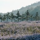 동화자연식물원