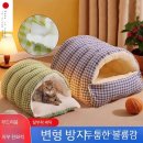 둥지세탁 이미지