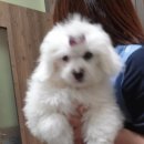 건국동물병원 이미지