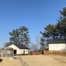 도그프리덤 이미지