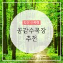 일산 공감 수목장 가격, 정보, 후기
