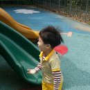 용주농장 Daum카페