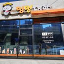 멍멍대학 이미지