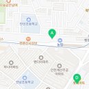 유림-1141 이미지