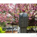 임천농장 이미지