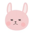 홍주칼국수 이미지