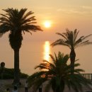 자유온천 이미지