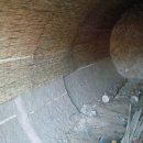 선동농장 이미지