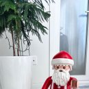 Backen베이커리카페 이미지