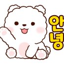 카카오 이미지