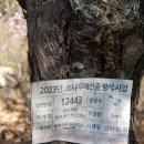 대전외삼중학교 이미지