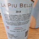 오렌지보틀 태안점 이미지