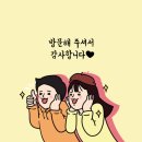 (내돈)헬로밀가루 부산사상점 후기