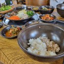 함초보리밥과생삼겹살