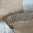 블루던 | 아디다스 운동화 추천, 아디다스 가젤 블루던 구매후기