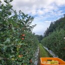 가나안농원 이미지