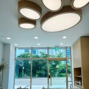 초록애견샵 이미지