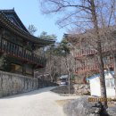 계룡불교 이미지