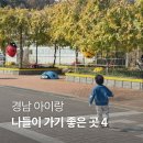 창녕동애등에 이미지