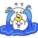 코코브레드 이미지