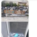 눈큰새우게스트하우스 이미지