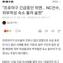 "프로야구 긴급중단 뒤엔... NC선수, 외부여성 숙소 불러 술판” 이미지