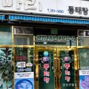 오로지생태한마리 | 광주 서구청 앞 농성동 생태탕 맛집 ' 생태한마리' 내돈내산 후기