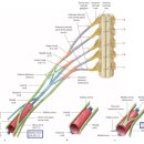 365경희준한의원 이미지