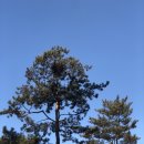 [주간회고] 22년 2월 2주