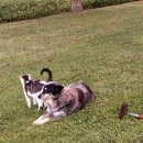 엉클농장 이미지