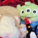 브라비PC카페 이미지