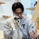훤칠한고양이 이미지