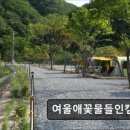여울애꽃물들인 | *화천 캠핑 추천* 여울애꽃물들인캠핑장 자연 속 쾌적한 시설 완비 캠핑장