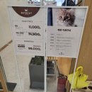 돈부타 | 앨리웨이에서 영화 보고 우연히 들린 부타캣 앨리웨이 인천점 후기