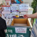 무주농협 안성지점 | 🌼 안성팜랜드 유채꽃 축제 : 4월 3주차 실시간 방문기, 28도 초여름 날씨 속 노란 물결 인생샷 명소 📸
