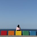 4일차 | 제주여행코스 | 오후새우시, 오설록, 도두슈퍼마켓, 이호테우해변, 무지개해안도로, 우진해장국