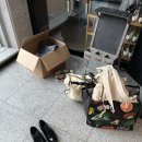 W) M2 스튜디오(엠투스튜디오) 실내 스튜디오, 삼락...야외 웨딩촬영 후기 / 비오는 날 야외 촬영 후기