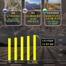 꼬집 - 동구 | 꼬집