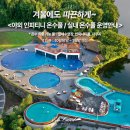 에코랜드수영장 수영장 이미지