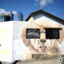 강아지&고양이 마을 이미지