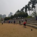 스텝업트레이닝 이미지